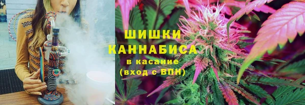 СК Балахна